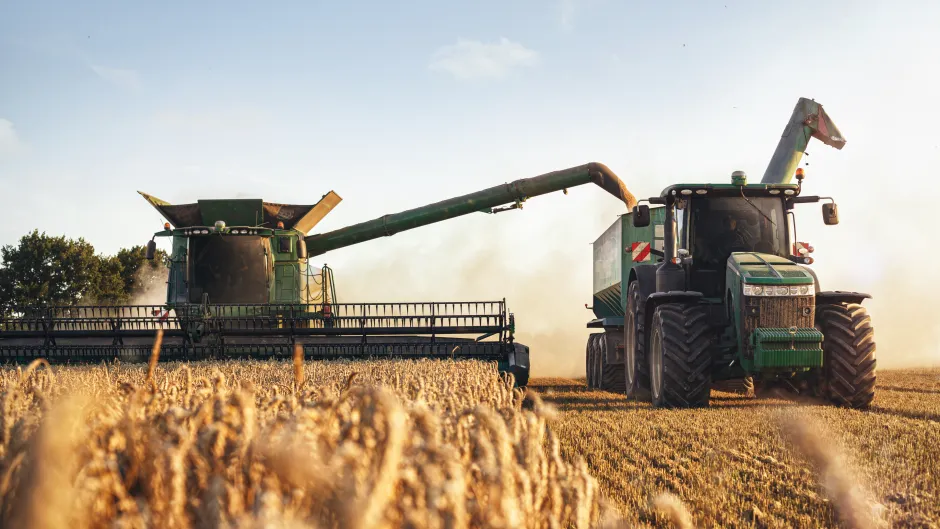 Mähdrescher bei der Weizenernte